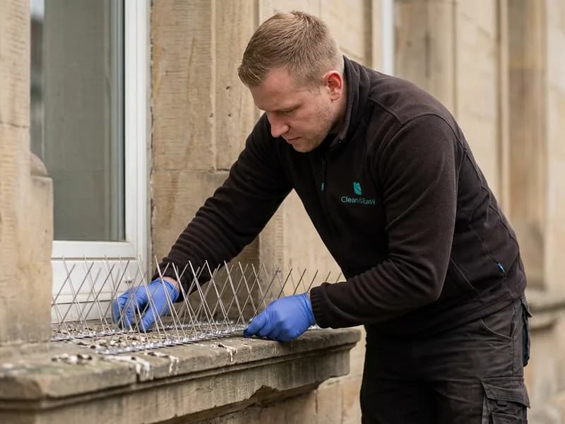 Taubenabwehr Impression 3